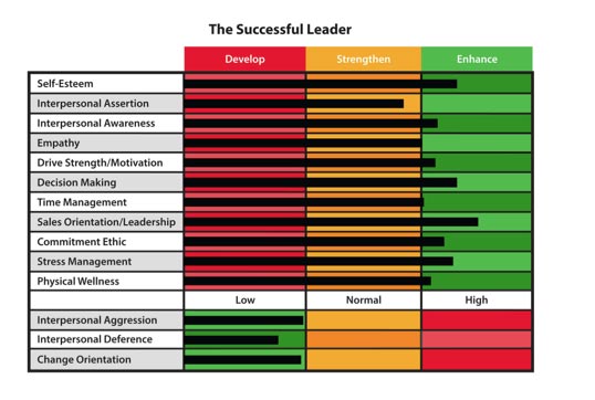successful-leader